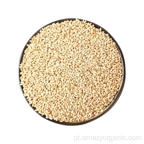 Sementes de Quinoa Branca Orgânica